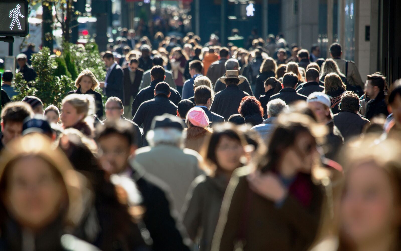 A busy city pavement filled with pedestrians in warm afternoon light